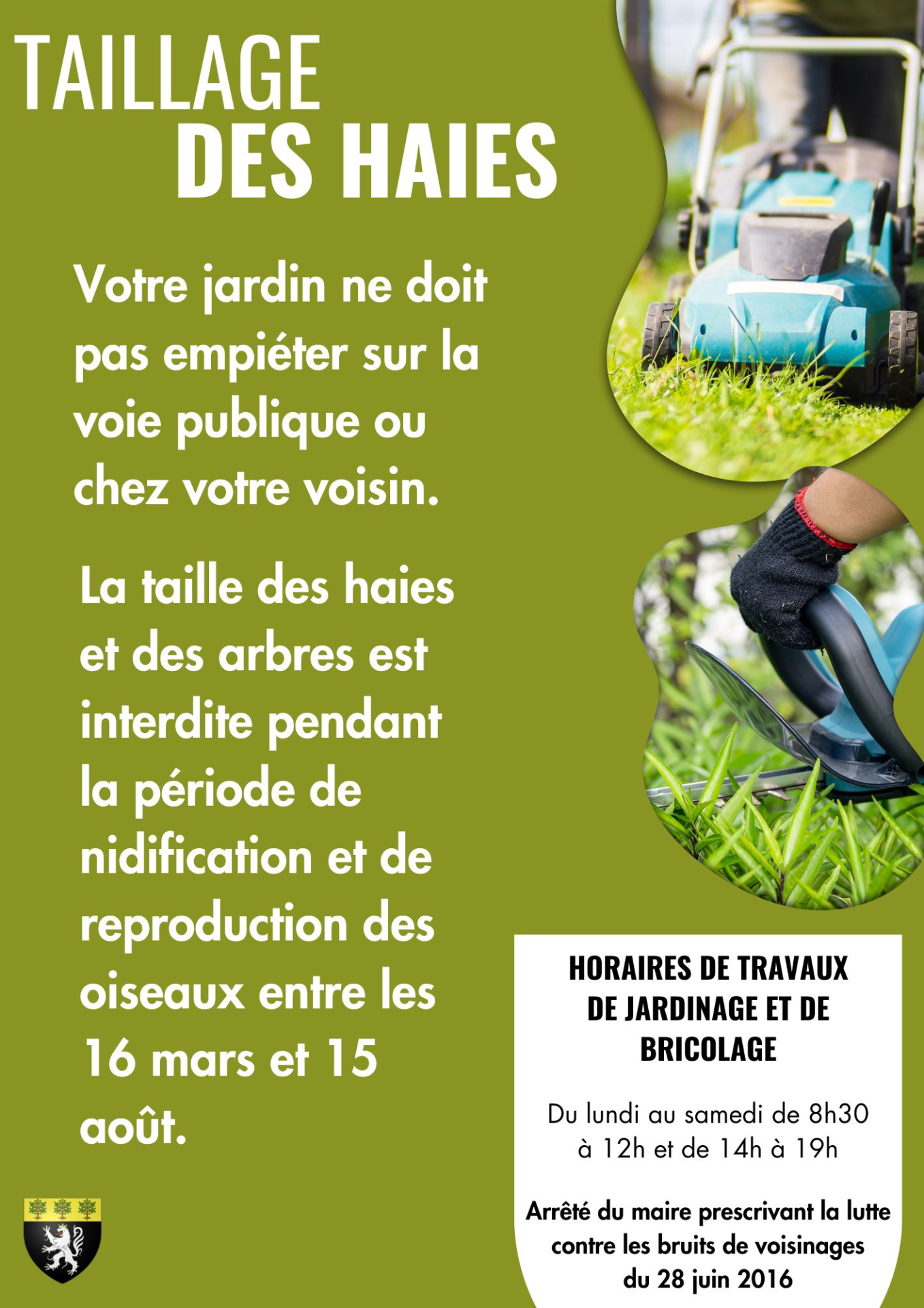 taillage des haies